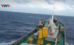 Cứu nạn vụ ch&igrave;m t&agrave;u tr&ecirc;n biển Hải Ph&ograve;ng