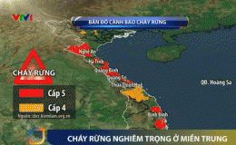 Nhiều tỉnh miền Trung đối mặt với ch&aacute;y rừng nghi&ecirc;m trọng