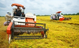 Ch&iacute;nh thức k&eacute;o d&agrave;i miễn thuế sử dụng đất n&ocirc;ng nghiệp đến hết năm 2025