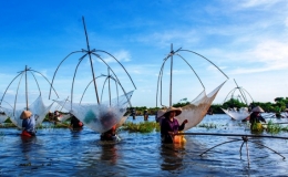 Độc đ&aacute;o Lễ hội đ&aacute;nh c&aacute; truyền thống ở H&agrave; Tĩnh