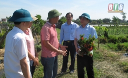 Khảo s&aacute;t m&ocirc; h&igrave;nh d&acirc;n vận kh&eacute;o tại x&atilde; Ch&iacute; H&ograve;a 