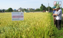 Kiến Xương học v&agrave; l&agrave;m theo B&aacute;c