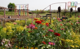 Ngất ng&acirc;y trước vẻ đẹp của "thảo nguy&ecirc;n" hoa Song L&atilde;ng