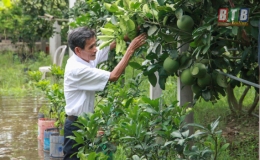 Ph&aacute;t huy tinh thần &ldquo;Tuổi cao ch&iacute; c&agrave;ng cao&rdquo;