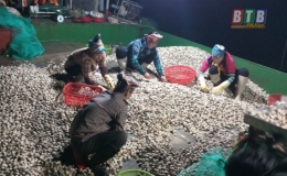 Th&aacute;i Thụy: Sản lượng nu&ocirc;i trồng thủy sản ước đạt 25.300 tấn