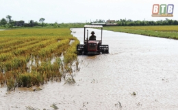 Tiền Hải: Đẩy mạnh cơ giới h&oacute;a sản xuất n&ocirc;ng nghiệp