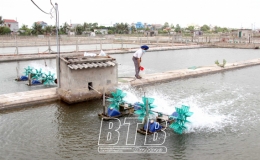 Tiền Hải: Tăng cường chống n&oacute;ng trong nu&ocirc;i trồng thủy sản