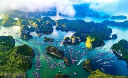 Bảo vệ sự sống của đại dương