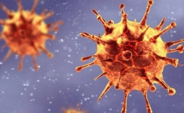 Ca tử vong thứ 52 li&ecirc;n quan đến Covid-19 tại Việt Nam