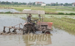 Chuẩn bị cho sản xuất vụ m&ugrave;a