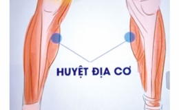 G&oacute;c nh&igrave;n cộng đồng về bệnh tiểu đường