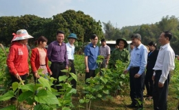 Huyện Văn Chấn (Y&ecirc;n B&aacute;i): Quyết t&acirc;m tạo đột ph&aacute; trong x&acirc;y dựng n&ocirc;ng th&ocirc;n mới