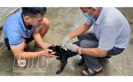 Một trường hợp tử vong do bệnh dại