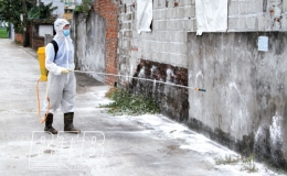 Quỳnh Bảo: T&iacute;ch cực ph&ograve;ng, chống dịch bệnh tr&ecirc;n đ&agrave;n vật nu&ocirc;i