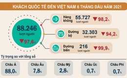 S&aacute;u th&aacute;ng đầu năm: kh&aacute;ch quốc tế v&agrave; doanh thu lữ h&agrave;nh giảm mạnh