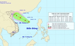 Tin về v&ugrave;ng &aacute;p thấp tr&ecirc;n biển Đ&ocirc;ng 