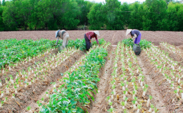 TP. Bạc Li&ecirc;u ho&agrave;n th&agrave;nh nhiệm vụ x&acirc;y dựng n&ocirc;ng th&ocirc;n mới