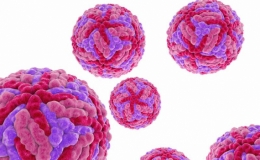 49 trường hợp mắc vi&ecirc;m n&atilde;o vi r&uacute;t, 3 người tử vong trong m&ugrave;a h&egrave;