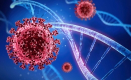 C&aacute;c biến chủng, biến chủng phụ đ&aacute;ng lo ngại vẫn tiếp tục xuất hiện với tốc độ l&acirc;y lan nhanh