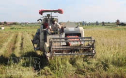 Cần &ldquo;3 nhanh, 3 đủ&rdquo; trong sản xuất vụ m&ugrave;a