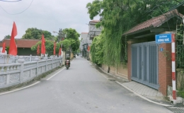 Đan Phượng (H&agrave; Nội) n&acirc;ng cao ti&ecirc;u ch&iacute; n&ocirc;ng th&ocirc;n mới kiểu mẫu, ph&aacute;t triển x&atilde; th&agrave;nh phường