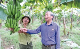 Mười hai năm ấy biết bao &acirc;n t&igrave;nh