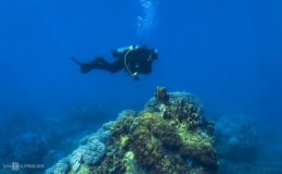 4 địa điểm lặn ở Việt Nam được b&aacute;o nước ngo&agrave;i gợi &yacute;