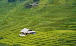 B&aacute;o Ấn Độ ca ngợi "t&aacute;c phẩm đi&ecirc;u khắc" ruộng bậc thang Sa Pa