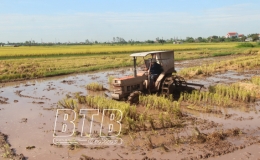 Chủ động c&aacute;c điều kiện cho sản xuất vụ m&ugrave;a