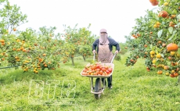 Cọi Kh&ecirc; "Lọc nước lấy c&aacute;i..."