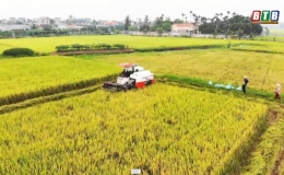  Gỡ kh&oacute; cho "đại điền"