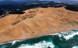 Nhật Bản chật vật bảo tồn 'sa mạc' khỏi xanh h&oacute;a