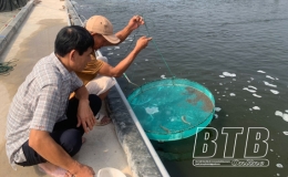 Th&aacute;i Thụy: Chủ động chống n&oacute;ng cho thủy sản