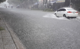 Tin dự b&aacute;o mưa lớn khu vực tỉnh Th&aacute;i B&igrave;nh 
