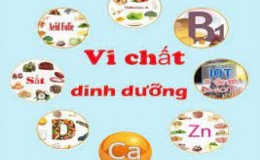 Vai tr&ograve; của vi chất dinh dưỡng