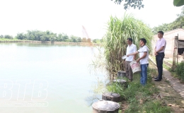 Quỳnh Phụ: Tạo việc l&agrave;m từ vốn ch&iacute;nh s&aacute;ch