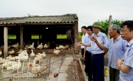 Th&aacute;i Thụy: N&ocirc;ng d&acirc;n vượt kh&oacute; l&agrave;m gi&agrave;u