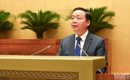 Chủ động phản ứng ch&iacute;nh s&aacute;ch, triển khai quyết liệt c&aacute;c giải ph&aacute;p b&igrave;nh ổn thị trường v&agrave;ng