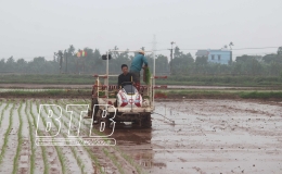 Chủ động sản xuất vụ m&ugrave;a