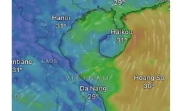 C&ocirc;ng văn số 52/BCH-PCTT về việc chủ động ứng ph&oacute; với v&ugrave;ng &aacute;p thấp c&oacute; khả năng h&igrave;nh th&agrave;nh tr&ecirc;n biển Đ&ocirc;ng v&agrave; gi&oacute; mạnh tr&ecirc;n biển 