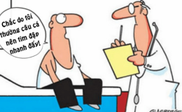 Đau tim v&igrave; c&acirc;u c&aacute;