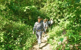 Hợp t&aacute;c quản l&yacute; rừng bền vững trong ASEAN