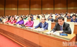 Quốc hội giao Ch&iacute;nh phủ tổng kết đ&aacute;nh gi&aacute; việc th&iacute; điểm c&aacute;c cơ chế, ch&iacute;nh s&aacute;ch đặc th&ugrave;