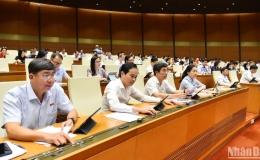 Quốc hội th&agrave;nh lập đo&agrave;n gi&aacute;m s&aacute;t tối cao về bảo vệ m&ocirc;i trường