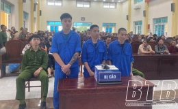 T&ograve;a &aacute;n nh&acirc;n d&acirc;n huyện Th&aacute;i Thụy x&eacute;t xử 2 vụ &aacute;n h&igrave;nh sự về ma t&uacute;y