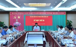 Ban B&iacute; thư thi h&agrave;nh kỷ luật đảng vi&ecirc;n vi phạm