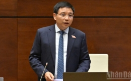 C&aacute;c địa phương sau s&aacute;p nhập được ph&eacute;p ph&ecirc; duyệt chủ trương đầu tư theo quy hoạch đ&atilde; ph&ecirc; duyệt