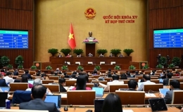 C&aacute;c tổ chức ch&iacute;nh trị-x&atilde; hội trực thuộc Mặt trận Tổ quốc Việt Nam