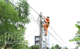 Điện lực Vũ Thư: Bảo đảm cấp điện an to&agrave;n, ổn định