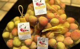 Hơn 100 tấn vải thiều đ&atilde; xuất khẩu sang Ph&aacute;p